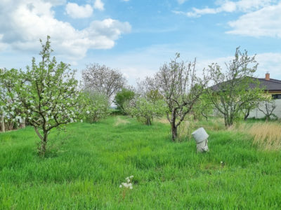 Stavebný pozemok, okres Nitra, obec Maly Cetin pozemok na predaj pre rodinny dom pohlad na stred pozemku