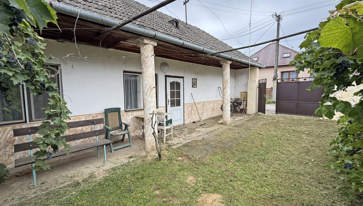 Sintava Konfido ponuka na predaj rodinny dom pohlad na dvor pri dome so vstupom a oknami
