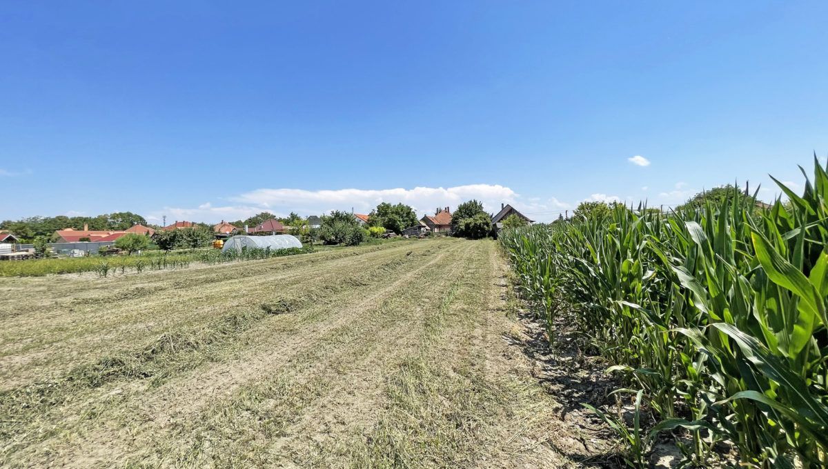 Trhova Hradska Konfido ponuka na predaj pozemok pre rodinne domy pohlad zo zadneho konca na pozemok