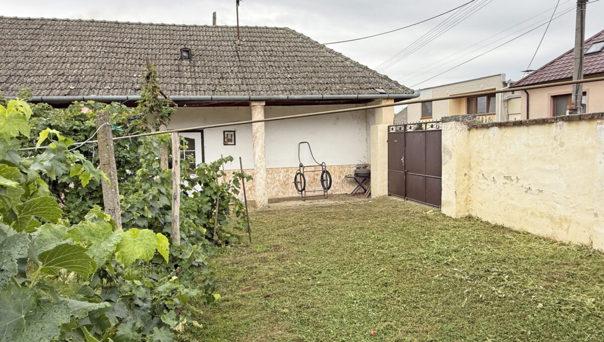Sintava Konfido ponuka na predaj rodinny dom pohlad od susedneho domu na dvor so vstupom na pozemok