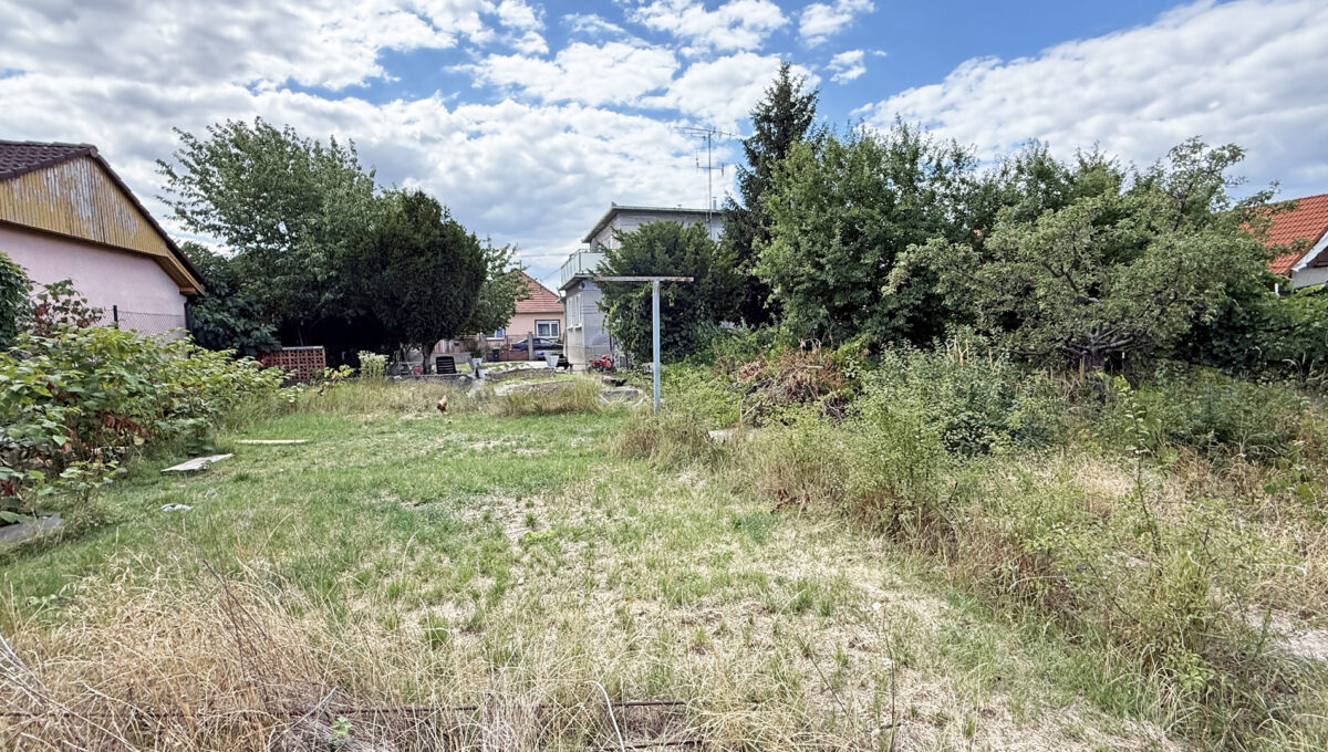 Senec Konfido ponuka na predaj rodinny dom velky pozemok pohlad z konca zahrady na cely pozemok s domom