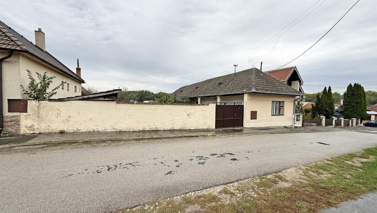 Sintava Konfido ponuka na predaj rodinny dom pohlad spoza cesty pred domom na dom a murovany plot