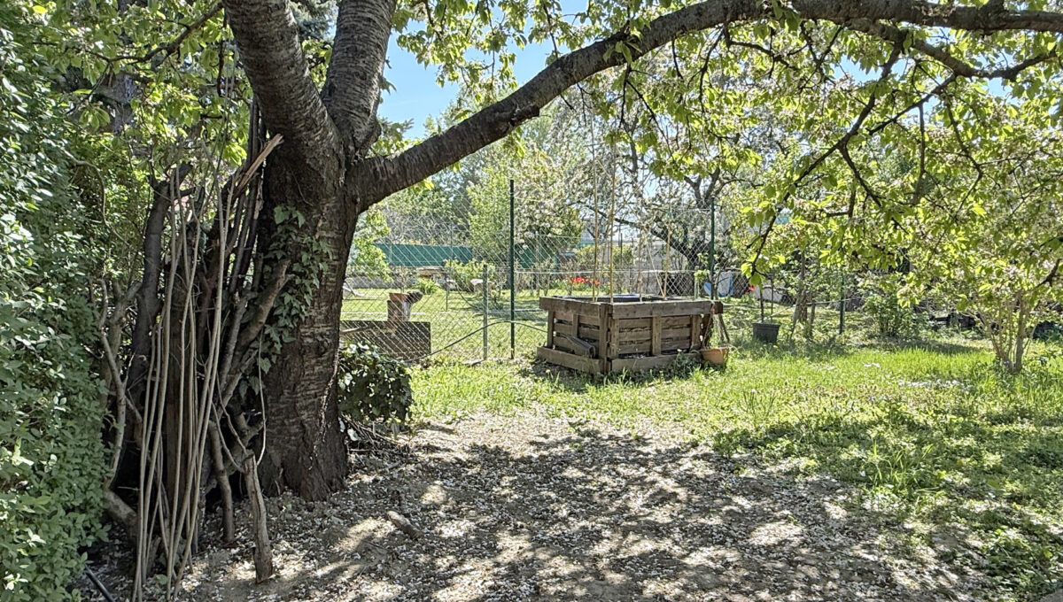 Bratislava Trnavka Zlate Piesky Konfido ponuka zahradu na predaj pohlad od chatky na priestor pod ceresnou