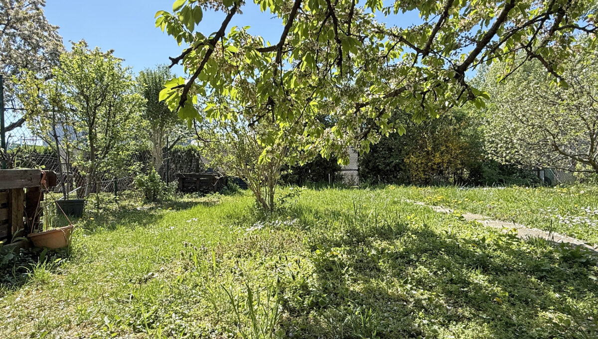 Bratislava Trnavka Zlate Piesky Konfido ponuka zahradu na predaj pohlad na pozemok zahrady