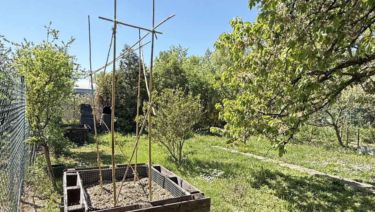 Bratislava Trnavka Zlate Piesky Konfido ponuka zahradu na predaj pohlad na pozemok zahrady a vyvyseny zahon