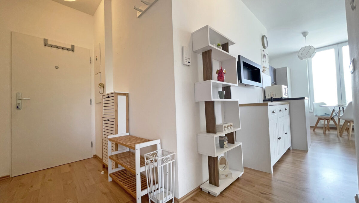 Bratislava Bajkalska Novy Ruzinov Konfido ponuka 2 izbovy byt s lodziou na prenajom pohlad na vstup do bytu a cast obyvacej izby