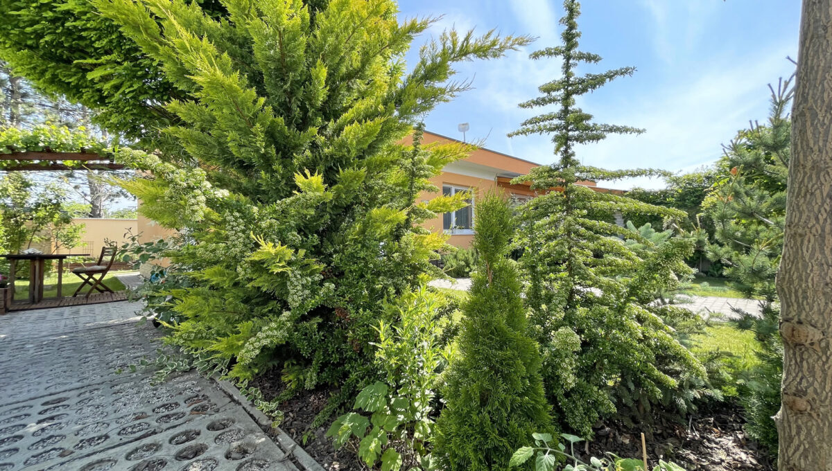 Michal na Ostrove Kolonia Konfido ponuka na predaj 2 izbovy rodinny dom byt v dvojdome pohlad na parkovacie miesto pri dome