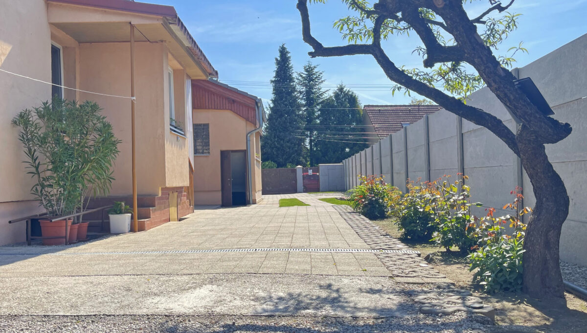 Konfido Janovce 5 izbovy rodinny dom na predaj pohlad zo zadnej casti pozemku na okolie domu a pristup na pozemok