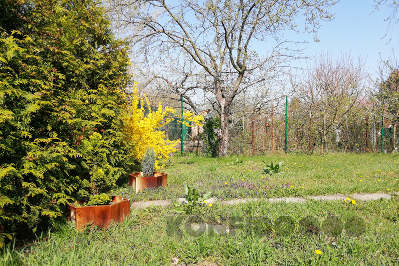 Bratislava Konfido 11 Zlate piesky zahrada pohlad na vstup do zahrady slnecny pozemok copy