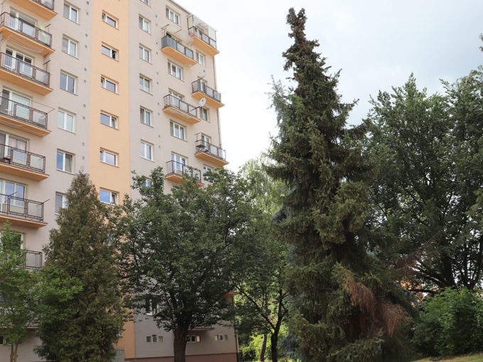 Zvolen-01-na-predaj-3-izbovy-byt-pohlad-na-bytovy-dom-ulica-Janka-Krala